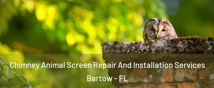  Chimney Animal Screen Repair And Installation Services Bartow - FL