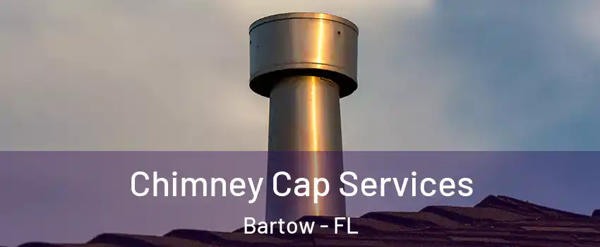  Chimney Cap Services Bartow - FL