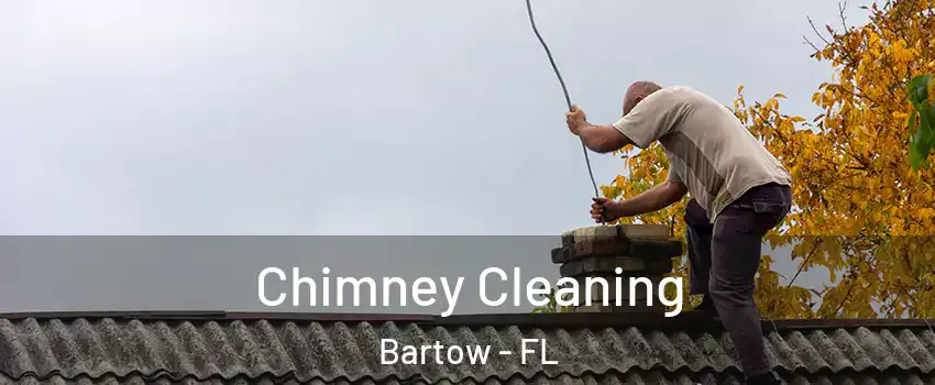 Chimney Cleaning Bartow - FL