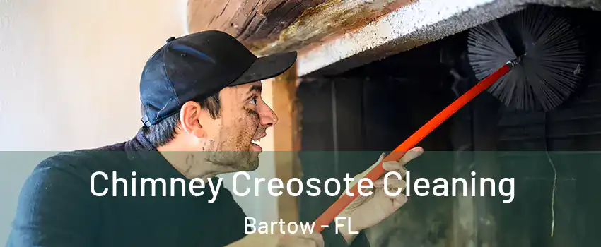  Chimney Creosote Cleaning Bartow - FL