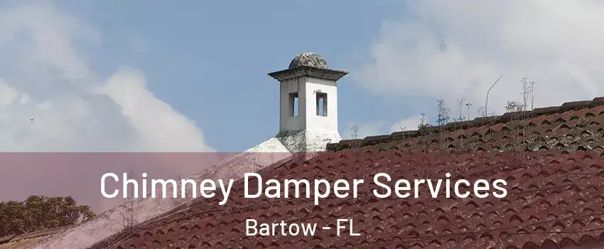  Chimney Damper Services Bartow - FL