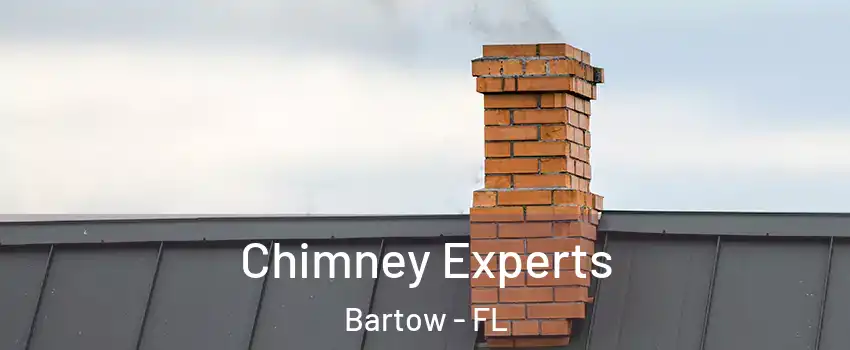  Chimney Experts Bartow - FL