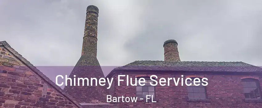  Chimney Flue Services Bartow - FL