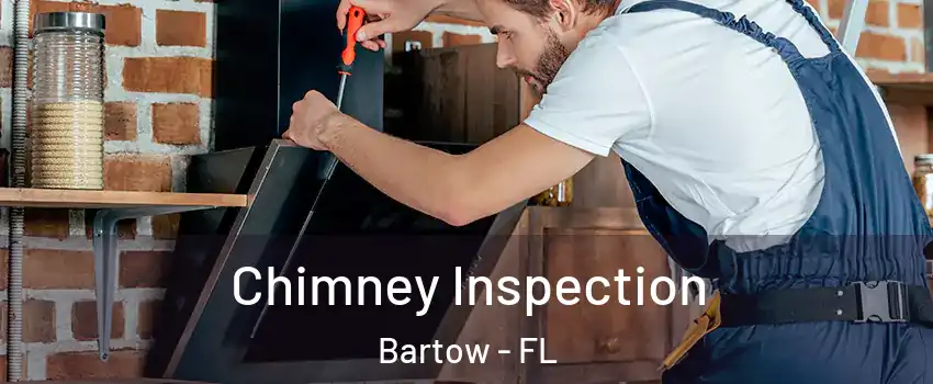  Chimney Inspection Bartow - FL