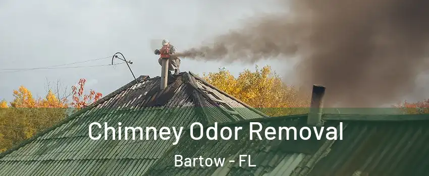  Chimney Odor Removal Bartow - FL