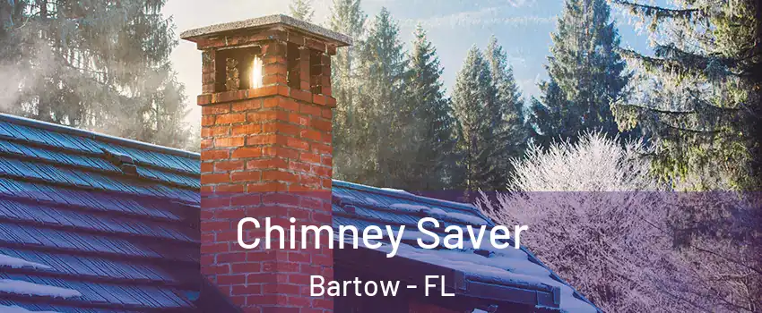  Chimney Saver Bartow - FL