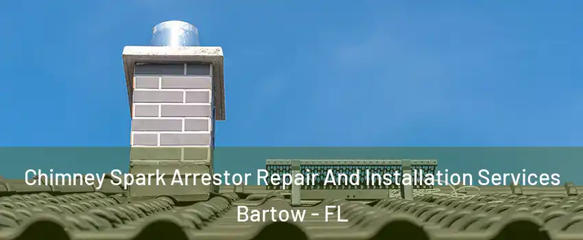  Chimney Spark Arrestor Repair And Installation Services Bartow - FL