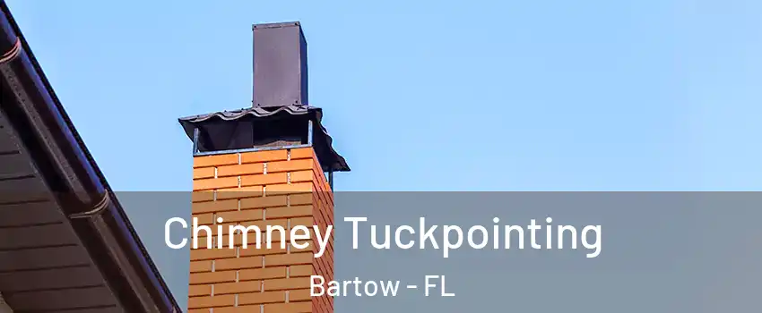  Chimney Tuckpointing Bartow - FL