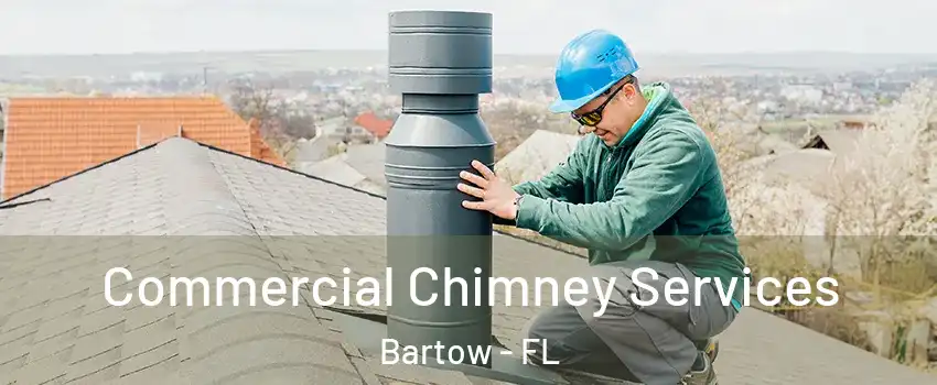  Commercial Chimney Services Bartow - FL
