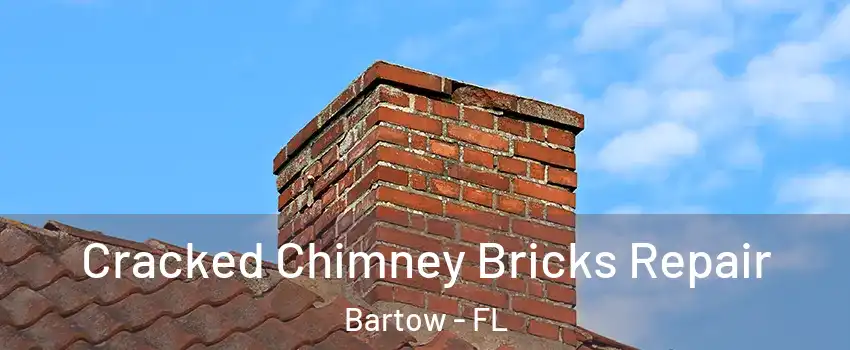 Cracked Chimney Bricks Repair Bartow - FL