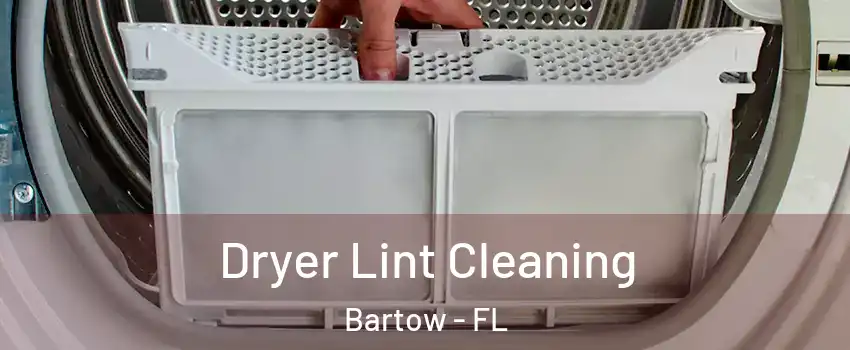  Dryer Lint Cleaning Bartow - FL