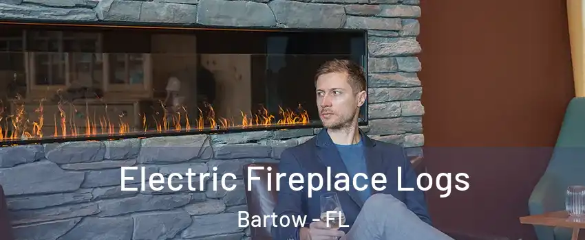  Electric Fireplace Logs Bartow - FL