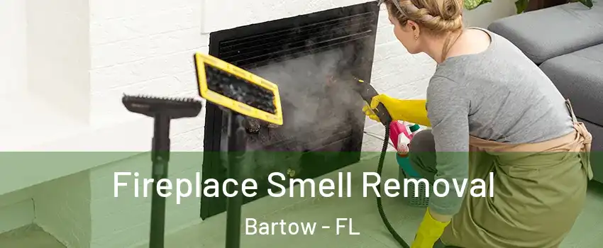  Fireplace Smell Removal Bartow - FL