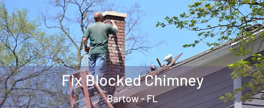  Fix Blocked Chimney Bartow - FL