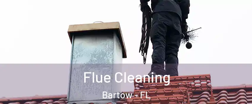  Flue Cleaning Bartow - FL