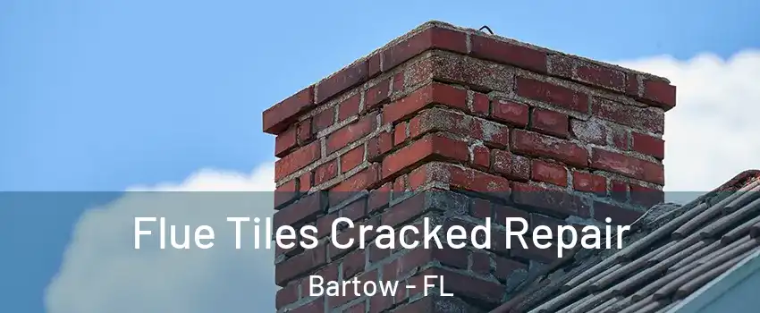  Flue Tiles Cracked Repair Bartow - FL