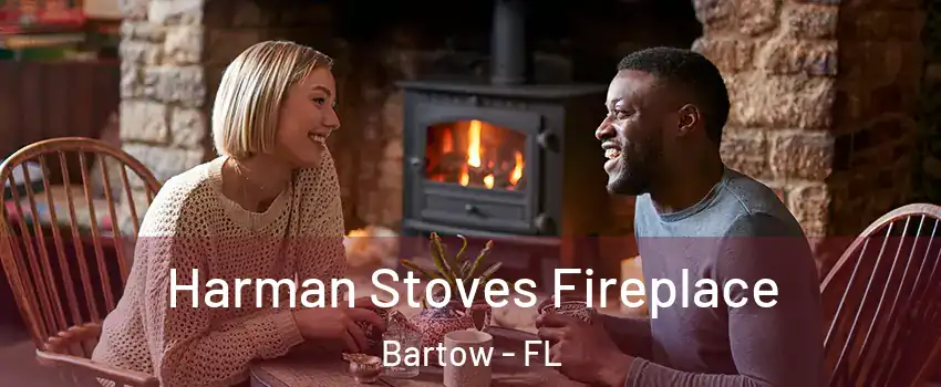  Harman Stoves Fireplace Bartow - FL