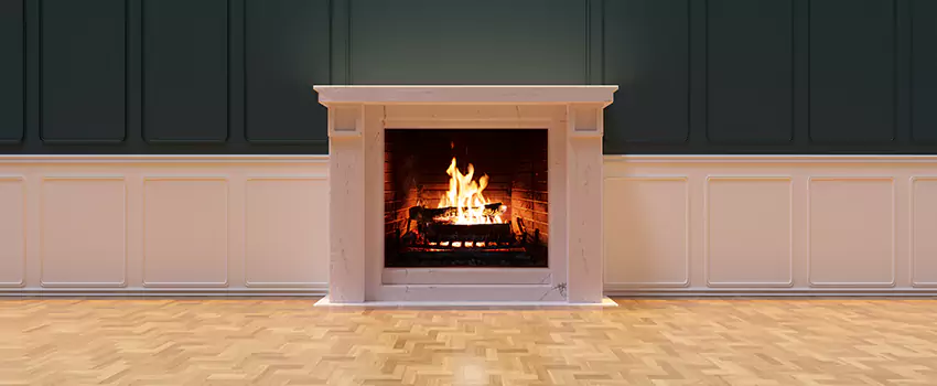 Napoleon Electric Fireplaces Inspection Service in Bartow, Florida