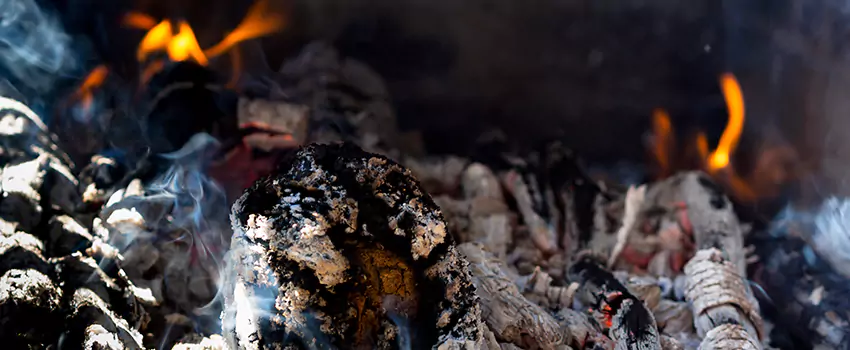 Creosote Removal Experts in Bartow, FL