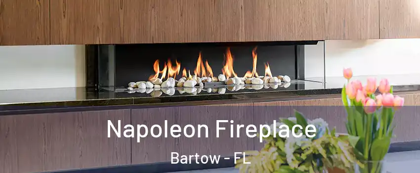  Napoleon Fireplace Bartow - FL