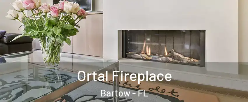  Ortal Fireplace Bartow - FL