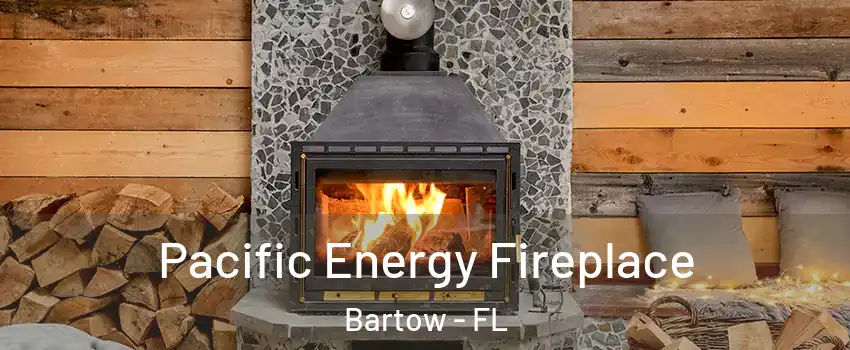  Pacific Energy Fireplace Bartow - FL