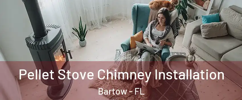  Pellet Stove Chimney Installation Bartow - FL